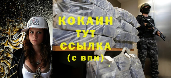 бошки Белокуриха
