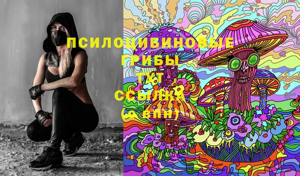 соль курить ск Михайловка