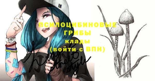 стафф Михайлов